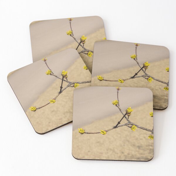 Item preview, Cornus officinalis 6 designed and sold by yunee.