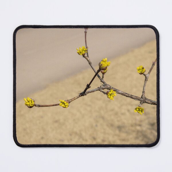 Item preview, Cornus officinalis 6 designed and sold by yunee.