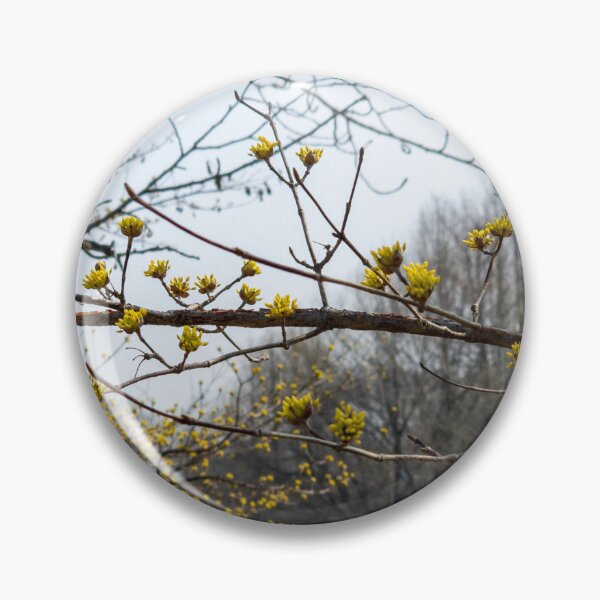Item preview, Cornus officinalis 7 designed and sold by yunee.