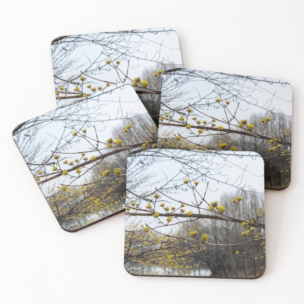 Item preview, Cornus officinalis 7 designed and sold by yunee.