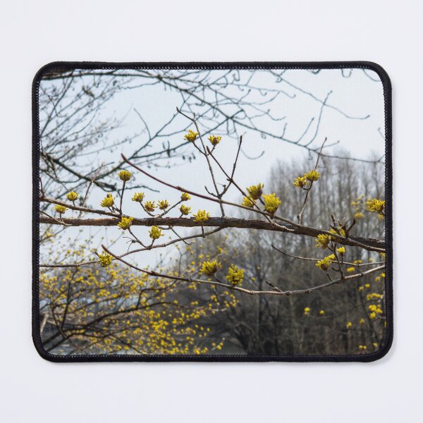 Item preview, Cornus officinalis 7 designed and sold by yunee.