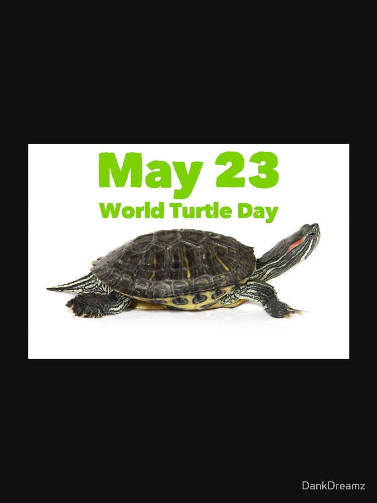 Disover World Turtle Day May 23 Classic T-Shirt
