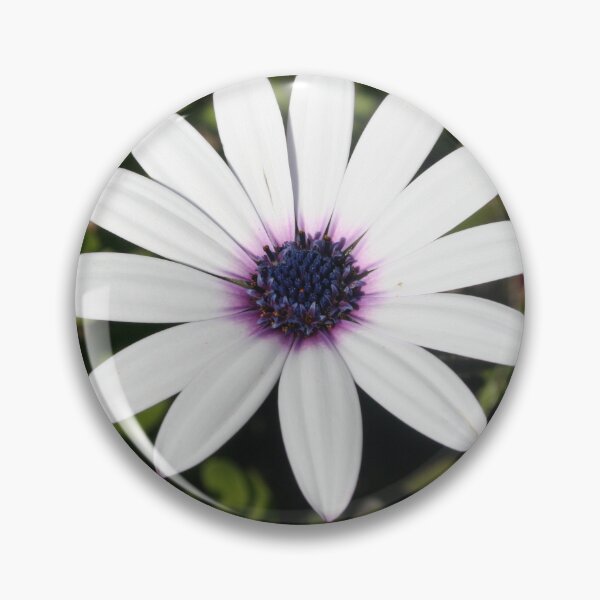 Item preview, White African Daisy designed and sold by taiche.