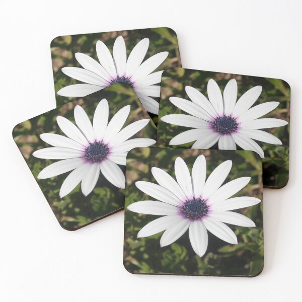 Item preview, White African Daisy designed and sold by taiche.
