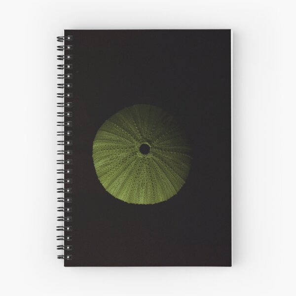 Item preview, Shell still life 1 designed and sold by comfortsguide.