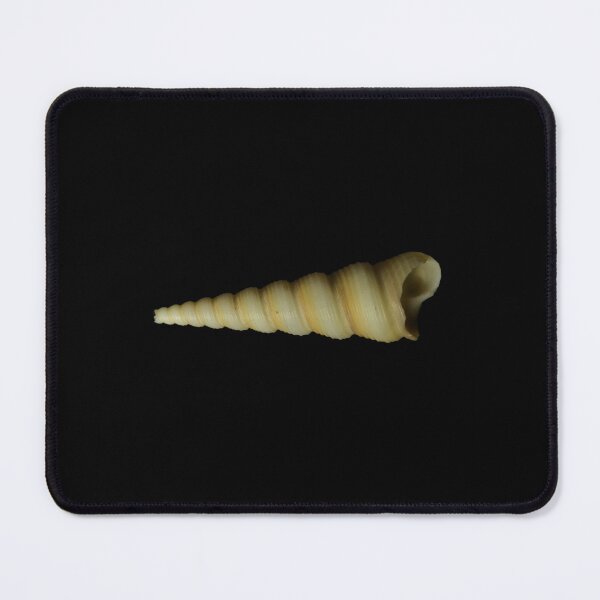 Item preview, Shell still life 2 designed and sold by comfortsguide.