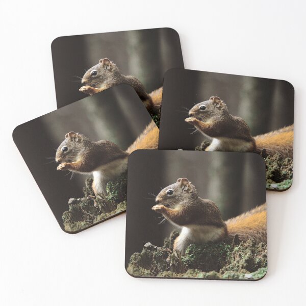 Item preview, Squirrel designed and sold by Picsorama.
