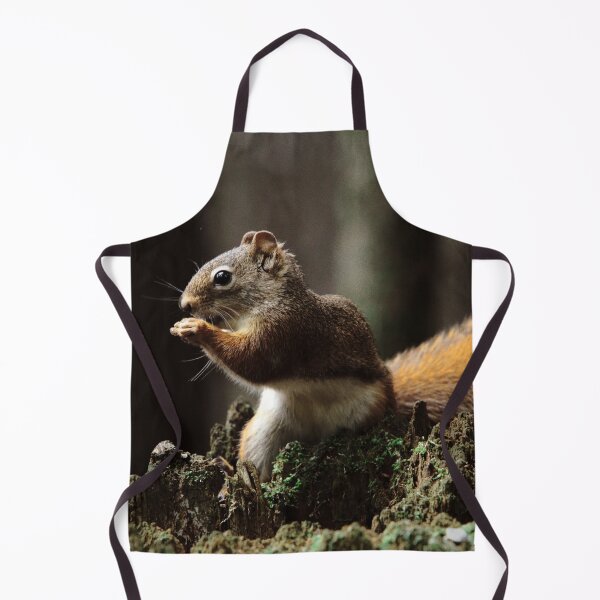 Item preview, Squirrel designed and sold by Picsorama.