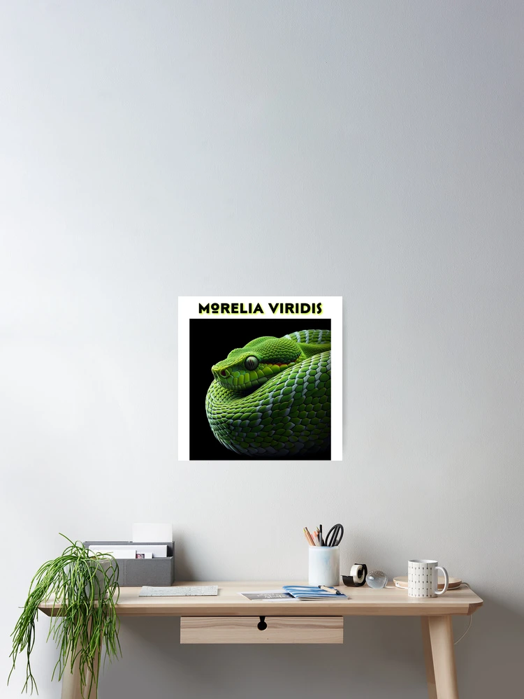 Thumbnail 2 of 3, Poster, Green Python designed and sold by ElyKay.