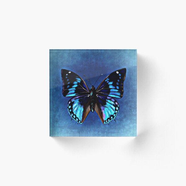 Butterfly Acrylic Block