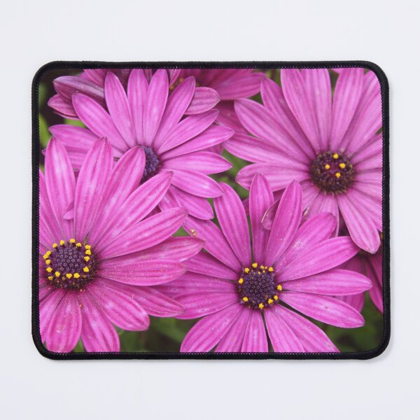 Item preview, Purple Petals Interwoven Cape Daisy Flowers designed and sold by taiche.