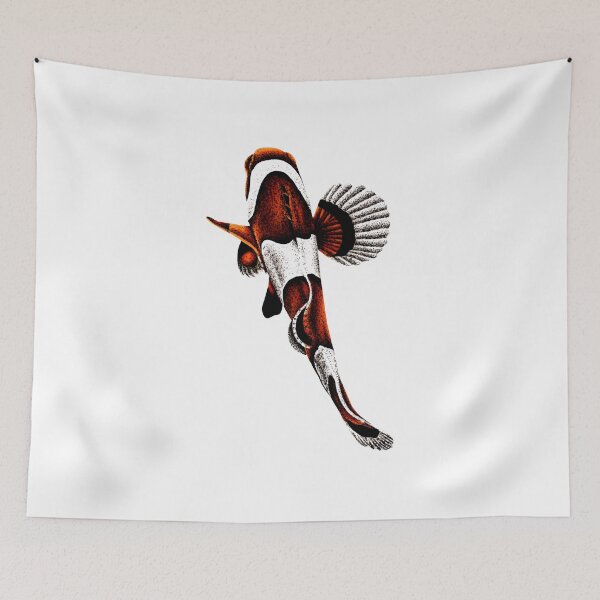 Item preview, Orange ocellaris clownfish from above designed and sold by LorenDowding.