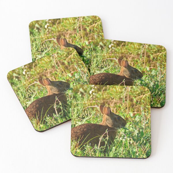 Item preview, Wild Rabbit Close-up designed and sold by MercerImages.