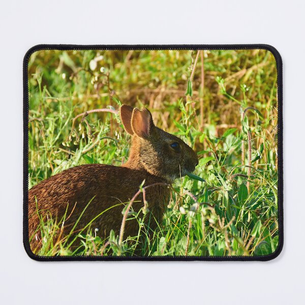 Item preview, Wild Rabbit Close-up designed and sold by MercerImages.