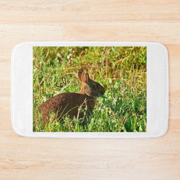Item preview, Wild Rabbit Close-up designed and sold by MercerImages.