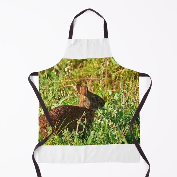 Item preview, Wild Rabbit Close-up designed and sold by MercerImages.