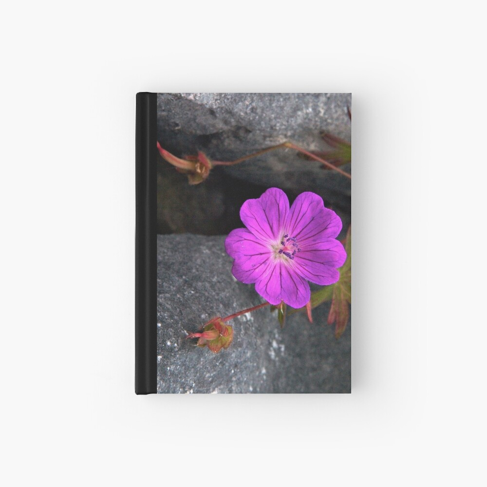 Bloody Cranesbill, Dun Aengus, Inishmore Hardcover Journal