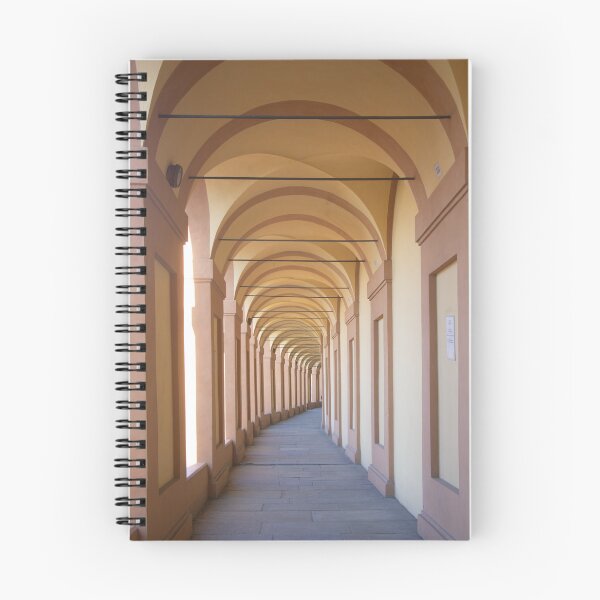 Item preview, Santuario della Madonna di San Luca designed and sold by Mythos57.