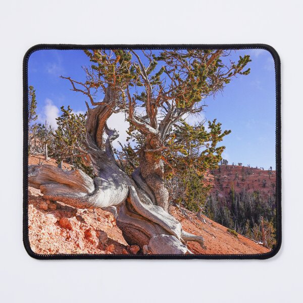 Item preview, Ancient Beauty designed and sold by Julie Navitka.