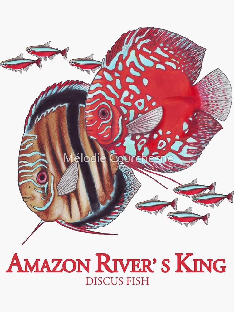 "The king of the Amazon" Sticker for Sale by astarah Redbubble