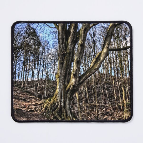 Item preview, Trees in Winter designed and sold by tomg.