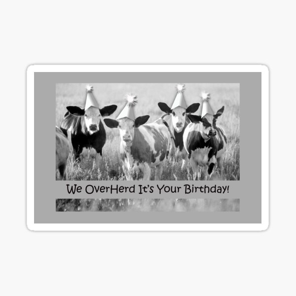 Birthday Cows, We Overherd Sticker