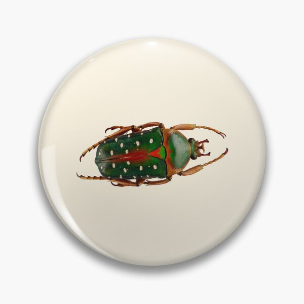 Item preview, Vintage Green and Orange Bug  designed and sold by midlands-1993.