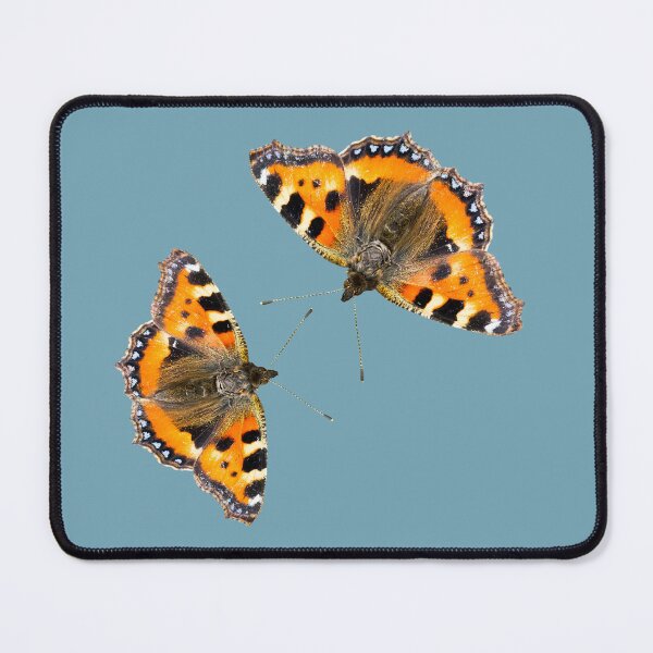 Item preview, Small Tortoiseshell Butterfly designed and sold by Jane Stanley Photography.