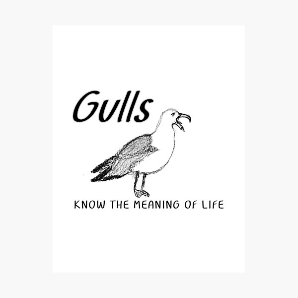 Item preview, Gulls Know the Meaning of Life - Gavin the Gull designed and sold by MyriadLifePhoto.