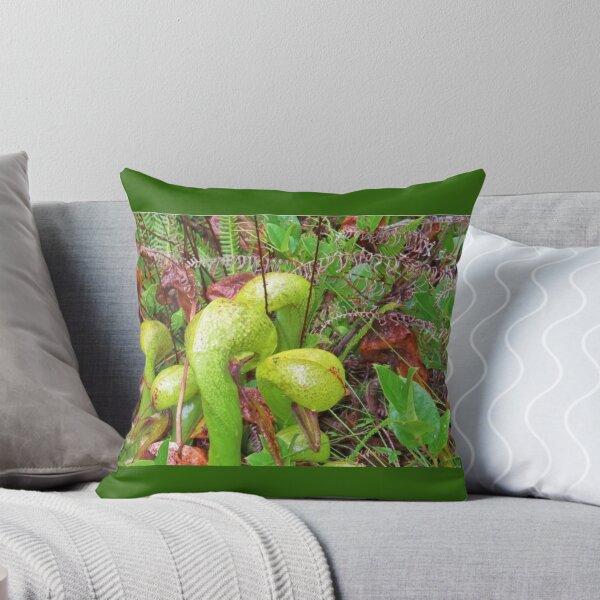 Item preview, Cobra Lilies in Florence Oregon designed and sold by JLPeterson65.