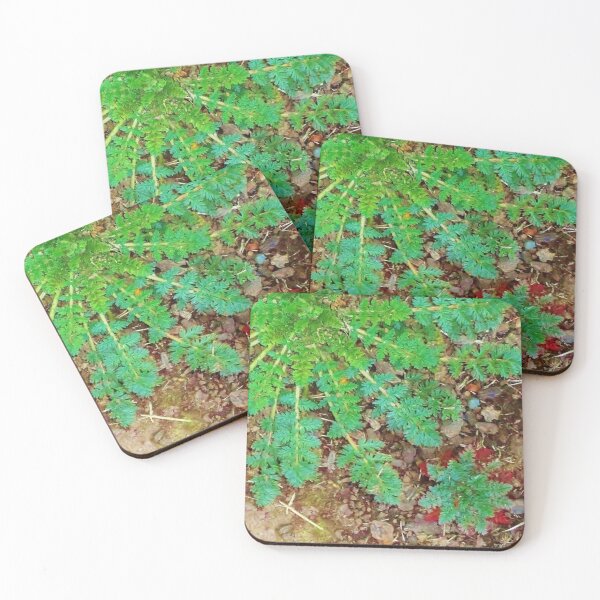 Item preview, Herb Robert with Child designed and sold by JLPeterson65.