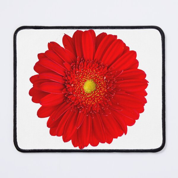 Item preview, Red Gerbera Daisy designed and sold by Decaf2Go.