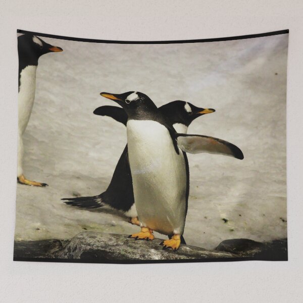 Item preview, Penguins designed and sold by Picsorama.