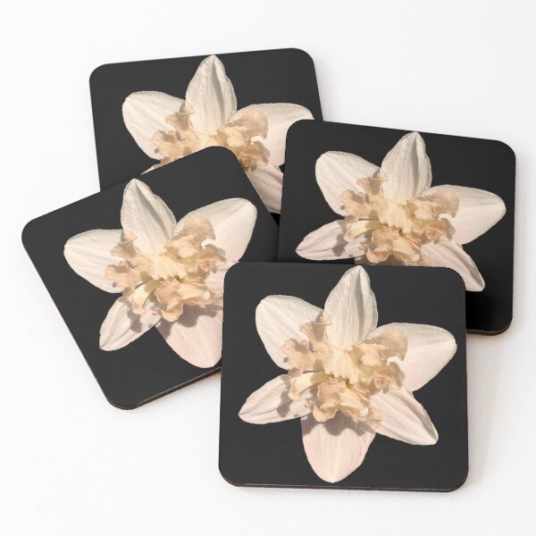 Item preview, White Daffodil designed and sold by ascherf.