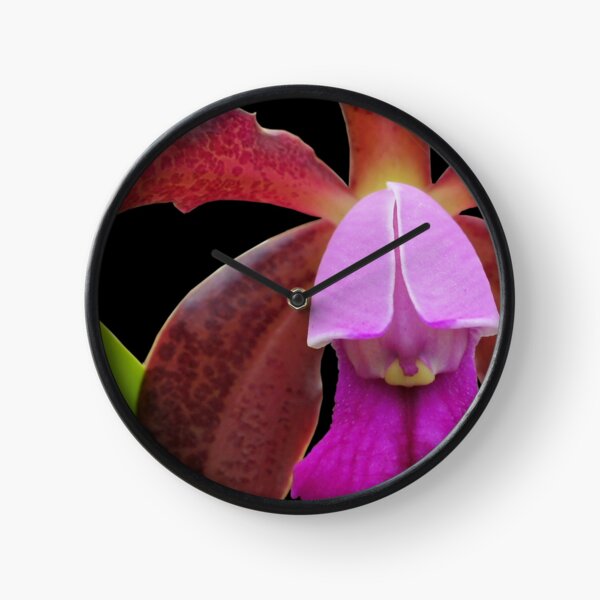 Not a Peep! - Orchid Alien Discovery Clock
