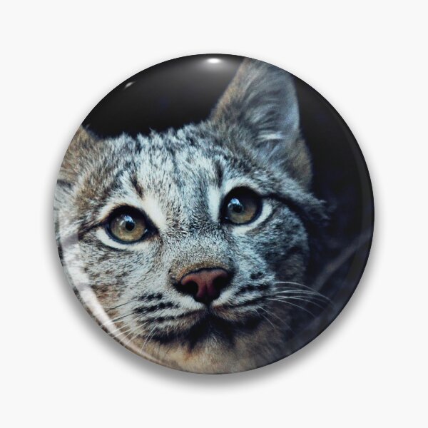 Item preview, Lynx designed and sold by Picsorama.