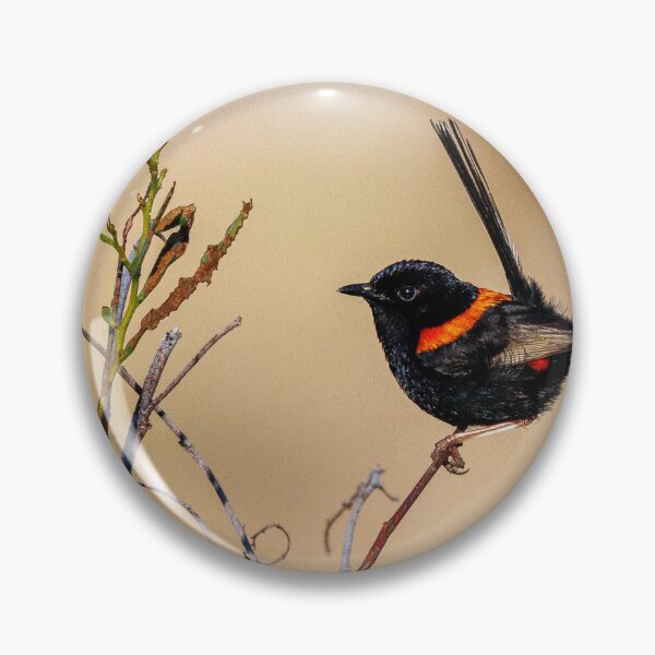 Item preview, Male Red-Backed Fairywren in Breeding Plumage designed and sold by RedChevy.