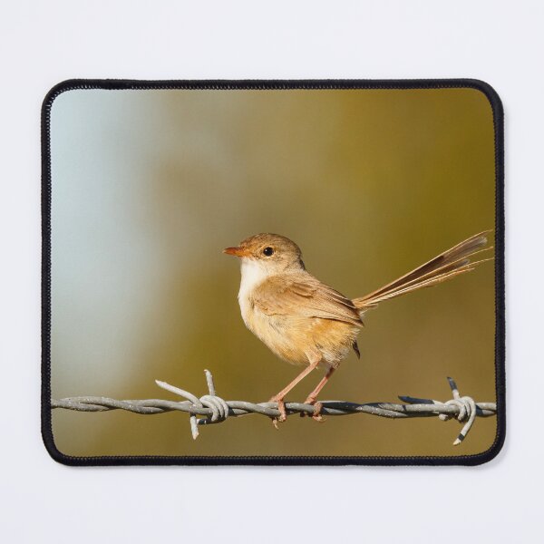 Item preview, Bird on a Wire designed and sold by RedChevy.