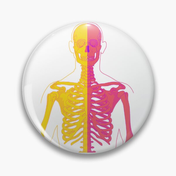 Item preview, Human skeleton designed and sold by Lizandro  Serrano Pacheco.
