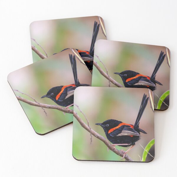 Item preview, Red-Backed Fairywren designed and sold by RedChevy.