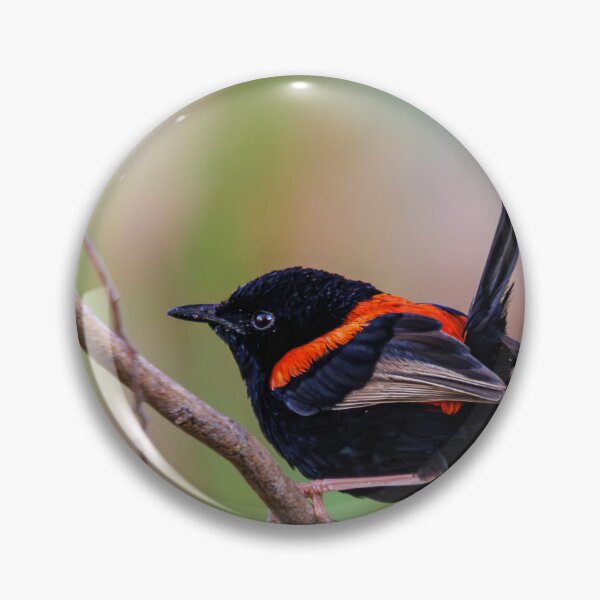 Item preview, Red-Backed Fairywren designed and sold by RedChevy.
