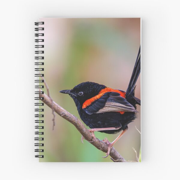 Item preview, Red-Backed Fairywren designed and sold by RedChevy.