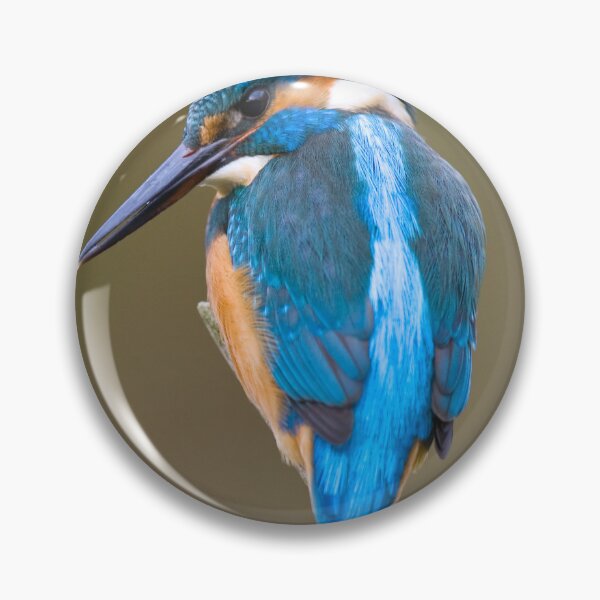 Item preview, funny blue kingfisher sitting on a branch.. designed and sold by khalidteez.