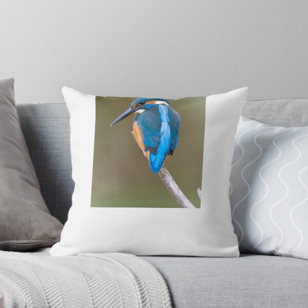 Artikelvorschau, lustiger blauer Eisvogel, der auf einem Ast sitzt. entworfen und verkauft von khalidteez.
