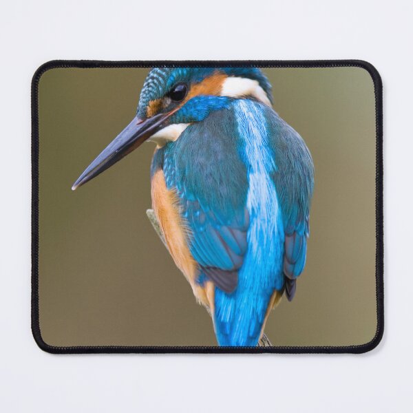 Item preview, funny blue kingfisher sitting on a branch.. designed and sold by khalidteez.