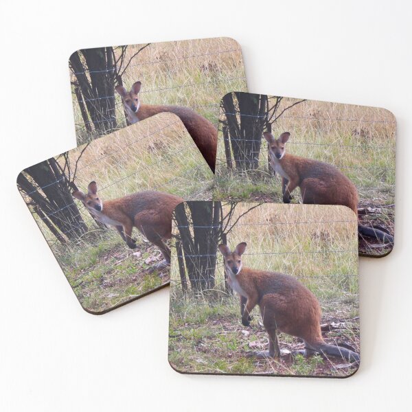 Item preview, Red Necked Wallaby! designed and sold by Mickangelhere.