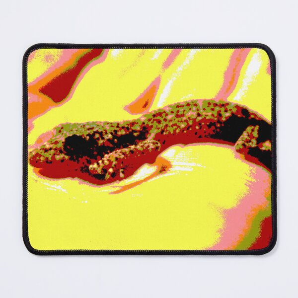Item preview, The Broad Tailed Gecko! designed and sold by Mickangelhere.