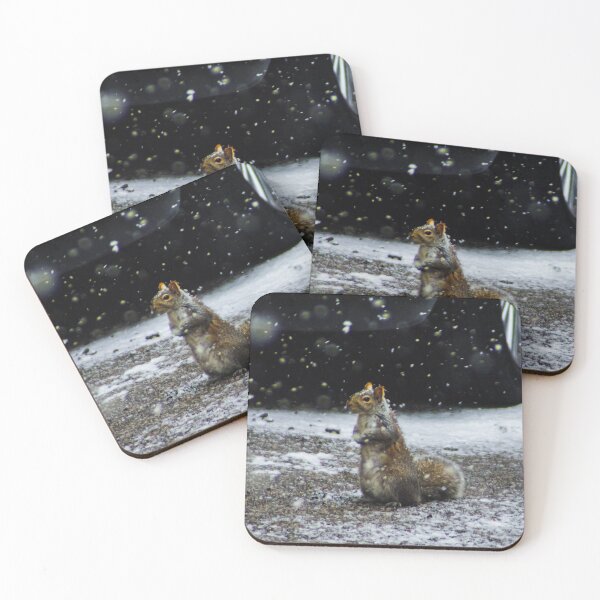 Item preview, Squirrel poses in the snow designed and sold by SRosuphotos.