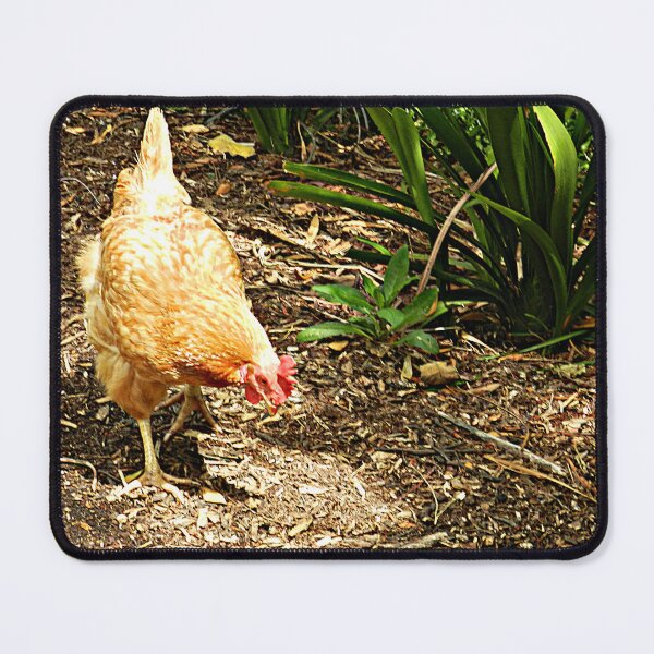 Item preview, Chcken picking at Werribee Zoo designed and sold by EdsMum.