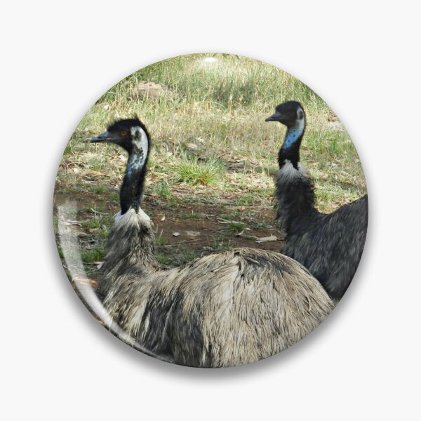 Item preview, Resting Emus designed and sold by EdsMum.